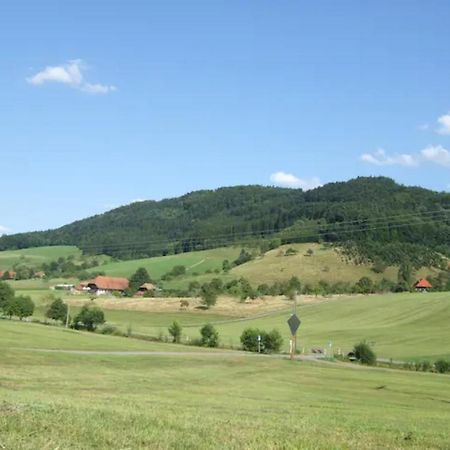 Sonniges-Naturnahes-Schwarzwald-Ferienhaeuschen Welschensteinach Exterior foto