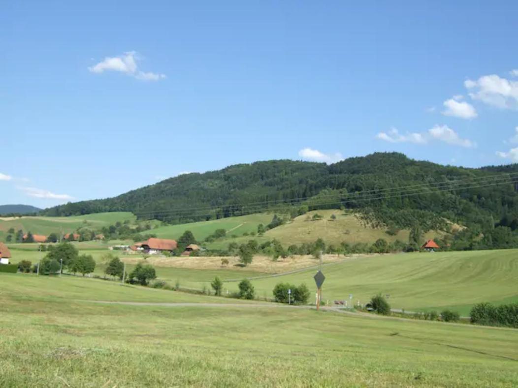 Sonniges-Naturnahes-Schwarzwald-Ferienhaeuschen Welschensteinach Exterior foto