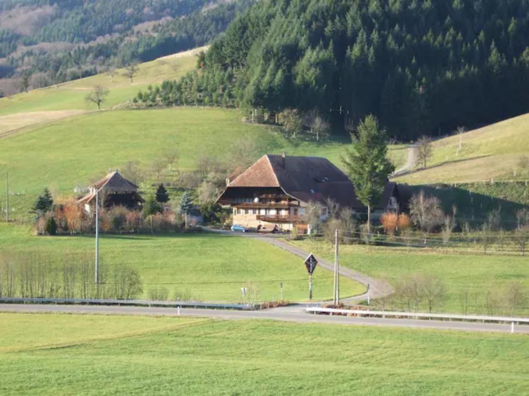 Sonniges-Naturnahes-Schwarzwald-Ferienhaeuschen Welschensteinach Exterior foto